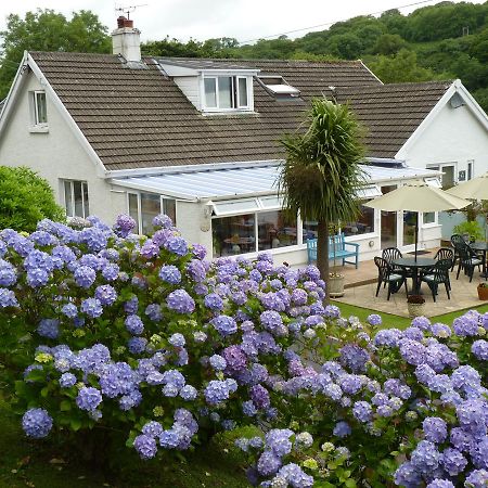 Mellieha Guest House Narberth Exterior foto